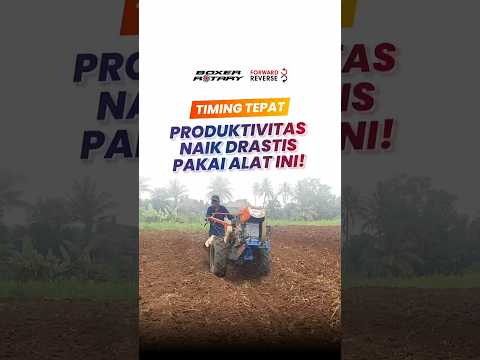 Timing Tepat Produktivitas Naik Drastis Pakai Alat Ini!