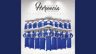 Video thumbnail of "Mariachi Herencia de Mexico - Popurri Juan Gabriel"