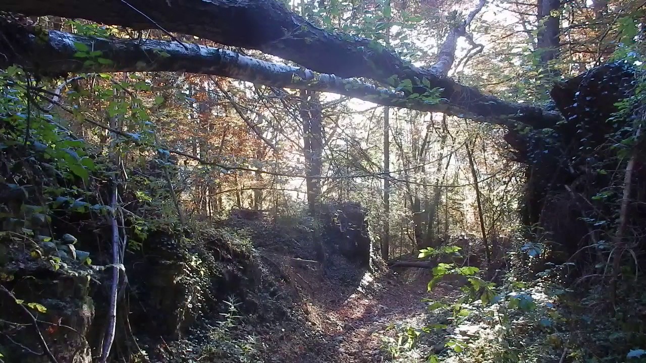 31 Ottobre 2016, Fielis - Zuglio (UD)