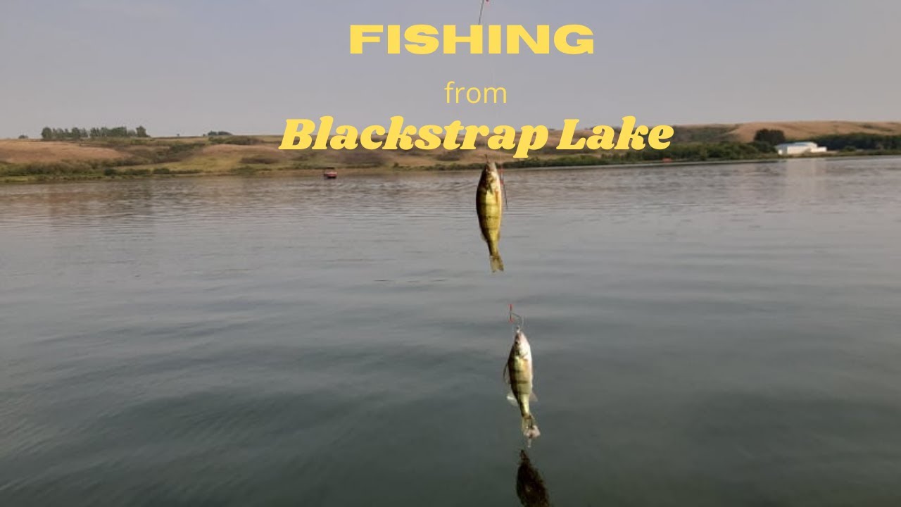 FISHING FROM BLACKSTRAP LAKE YouTube