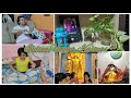 Misti r pillow r ki condition | A simple day| #indianvloggerkasturi #bengalichannel #banglavlog