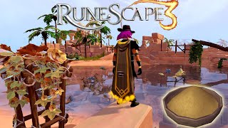 Hunting Dazzling Whirligigs Is Amazing Money & XP - 28M/PHour Runescape 3 Money Making Method
