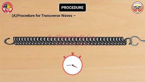Determine the speed of a pulse propagated through stretched slinky | Experiment | Physics class 9th