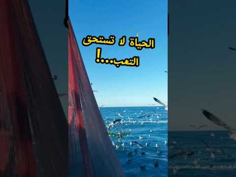 رحلة صيد في السواحل المغربية الصيد الساحلي
