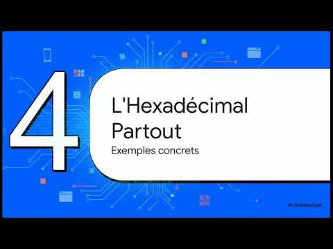 Hex Data - Tutoriel complet