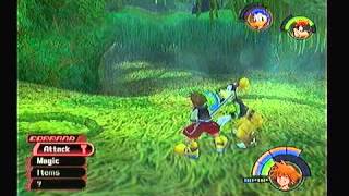 Kingdom Hearts Sabor Part 26