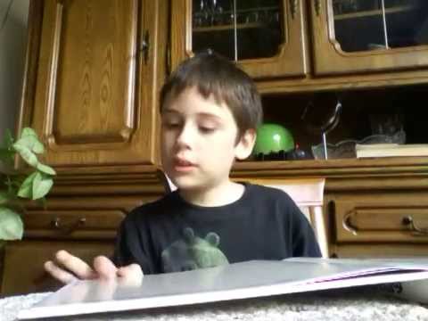 როგორ შევარჩიოთ ძაღლი 1გადაცემა