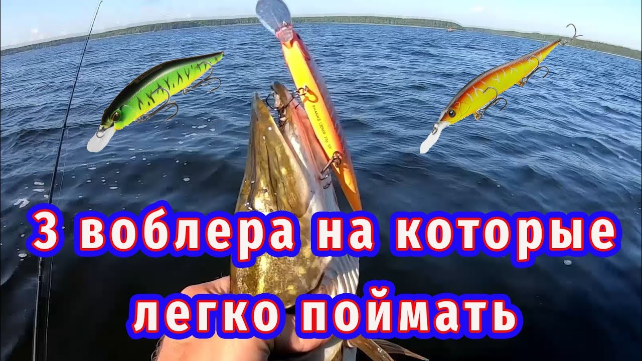 ТРИ Лучших воблера сезона 2024 на глубины до 4м!