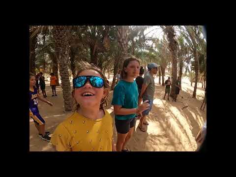 #Shorts Glamping Through The Dunes, Dubai with Sand Sherpa & FAKC in the Dubai Conservation Reserve