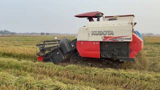 Amazing farmer Khmer harvest rice by machine Kubota dc-70 plus