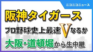 ニコニコニュースの配信のサムネイル画像