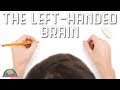 Why Are People Left-Handed?