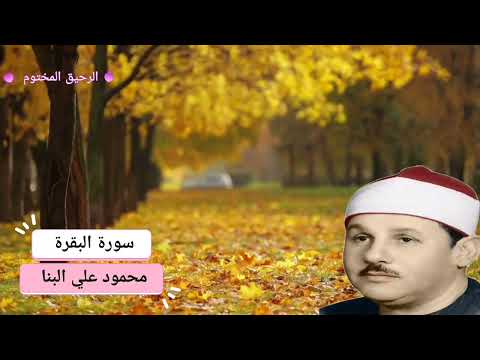 سورة البقرة محمود علي البنا