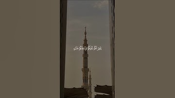هو الرحيم🤍 #قرآن #قران_كريم #القرآن_الكريم #quran #فلسطين #palestine #غزة #gaza #سورة_البقرة #allah