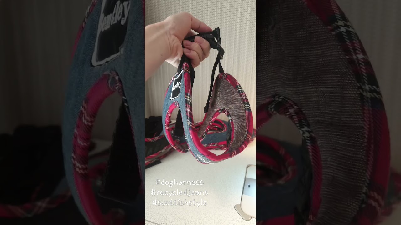 Best unique dog harness for Scottish style lovers. Dog products.