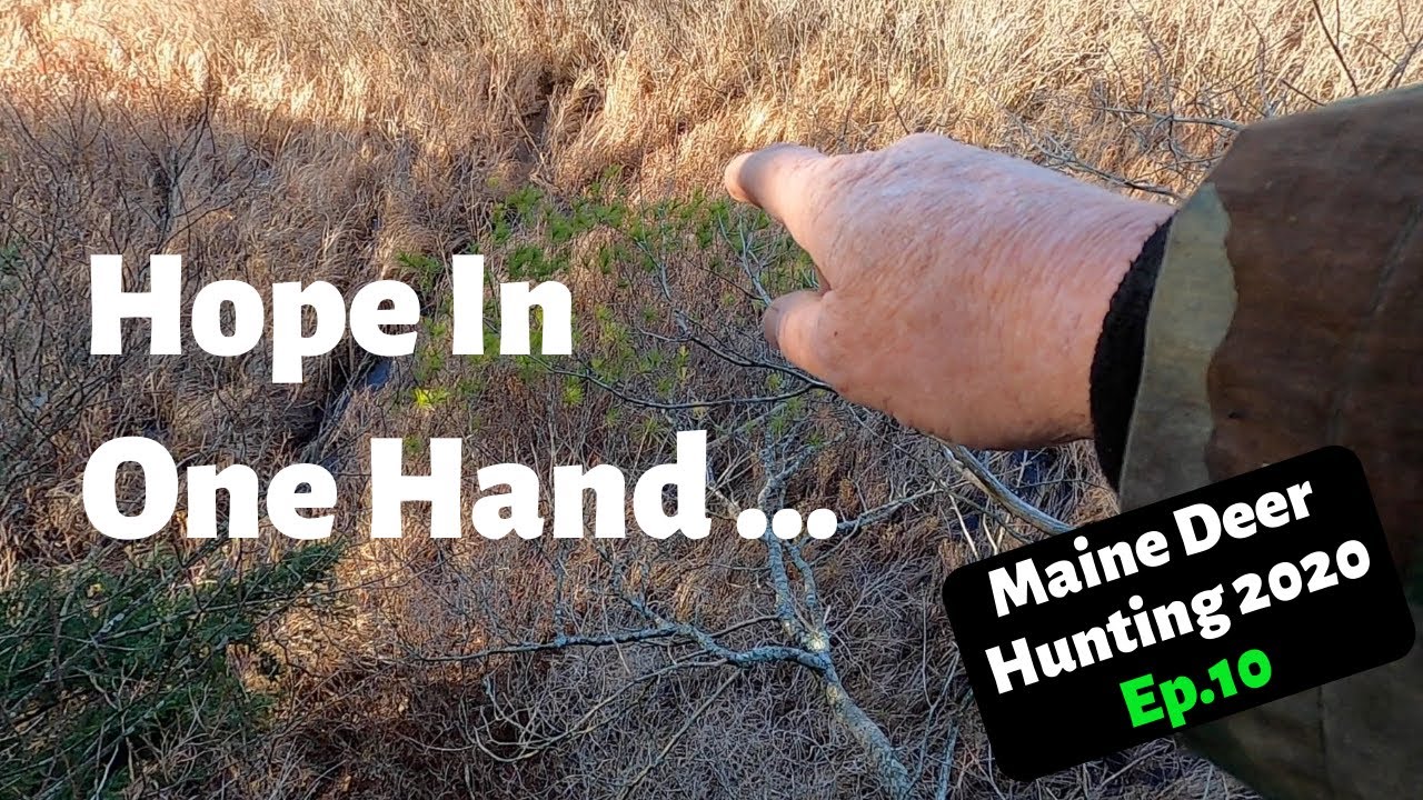 Maine Deer Hunting 2020 Expanded Archery Ep.10 YouTube