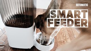 Review: Sandpoy Automatic Cat Feeder Smart with Camera, 1080P Live Video with Night Vision