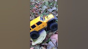 RC SCX24 Jeep Wrangler JLU Rubicon on backyards #rc #shorts #rccrawler #scx24 #jeep #shortvideo