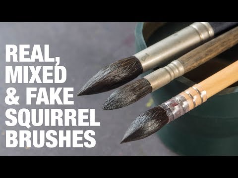 Video: Upang matulog gamit ang isang squirrel brush