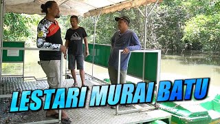 Ini Hutannya MURAI BATU WAY KAMBAS