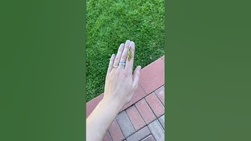 Catching grasshoppers for my tiny cousin