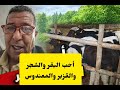 إريك بوند أحب البقر والشجر والقزبر والمعندوس في الضيعة الغبية Salem Maataoui 