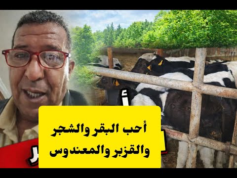 إريك بوند أحب البقر والشجر والقزبر والمعندوس في الضيعة الغبية  