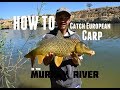 HOW TO: Catch European Carp | Murray River, SA