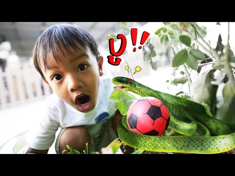 วิ่งหนี งูไล่กัด ลูกบอลเข้าป่าหญ้า ละครสั้น | พี่ปลื้ม