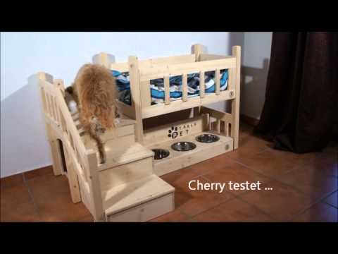 hundebett selber bauen hochbett fa 1 4 r katzen und hundewmv hundebetten anleitung hundebett selber bauen hochbett fa 1 4 r katzen und hundewmv hundebetten anleitung