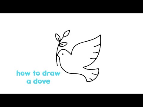 How to draw Dove Step by step - Dove Easy Drawing for children