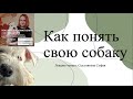 Собака от А до Я: как понимать, воспитывать и жить в гармонии
