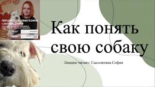 Собака от А до Я: как понимать, воспитывать и жить в гармонии