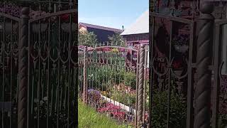 Павловский посад 10:07:2025