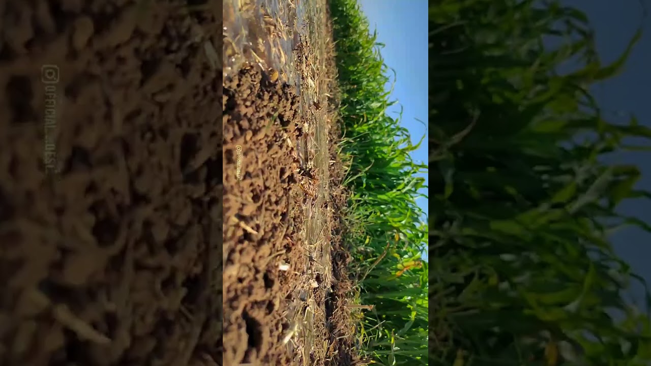 Farming : From soil to soul [ short film ]