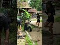 Part154:ភ្នំគូលែនKulen Mountain birthplace of the ancient Khmer Empire,Grill Foods #taxi #Cambodai