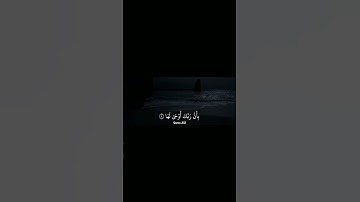 سورة الزلزلة فارس عباد