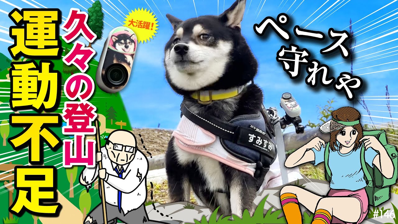 柴犬と久々に登山したら運動不足すぎて後悔