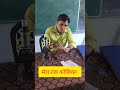 रक्त कोशिका #blood cell #sciencepractical #education #schoolActivity #cell #viralshorts #microscope
