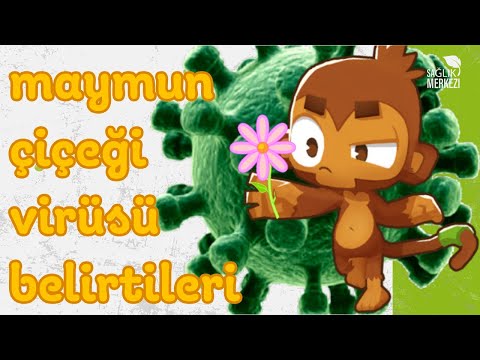 MAYMUN ÇİÇEĞİ VİRÜSÜ BELİRTİLERİ NELERDİR