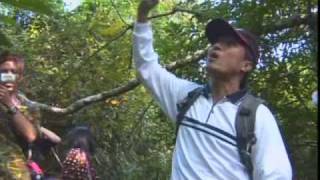 1212 #97 Puyuma elders lecture on ritual plants
