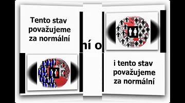 Co se děje s tvrdou plenou na mozku?