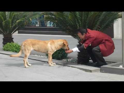 ISTANBUL სტამბული СТАМБУЛ