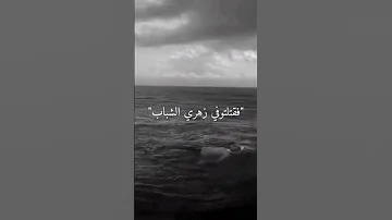 كانوا وحوشا بل ذئاب 