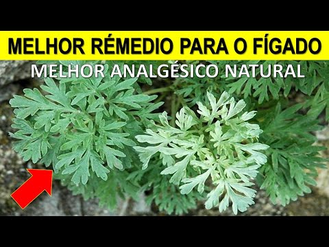 Planta que Cura o Fígado, Destrói Dores e Desintoxica o Corpo (Gordura, Estômago, Vermes)