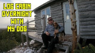 Log Cabin Overnight with my Dog by 13prevail Bushcraft 6,513 views 1 year ago 25 minutes