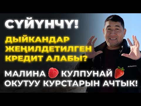 Video: Канча сактоочу түзүлүш бар?