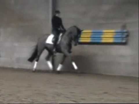 Athos Dec 2009 email1.wmv