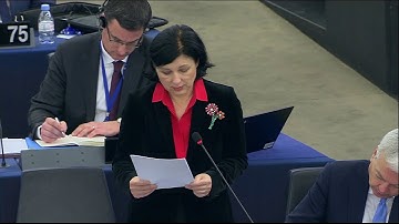 Vice-President Vera Jourova on the Rule of Law in Malta at the European Parliament plenary debate