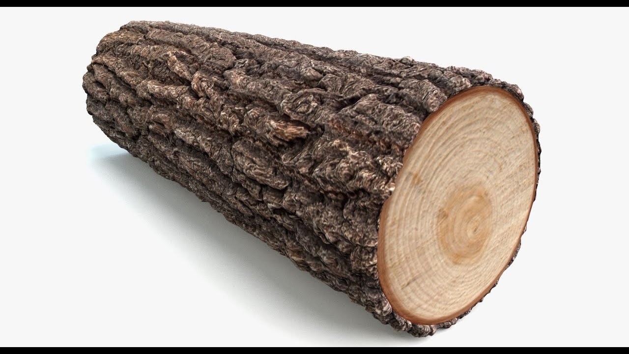 Big log перевод